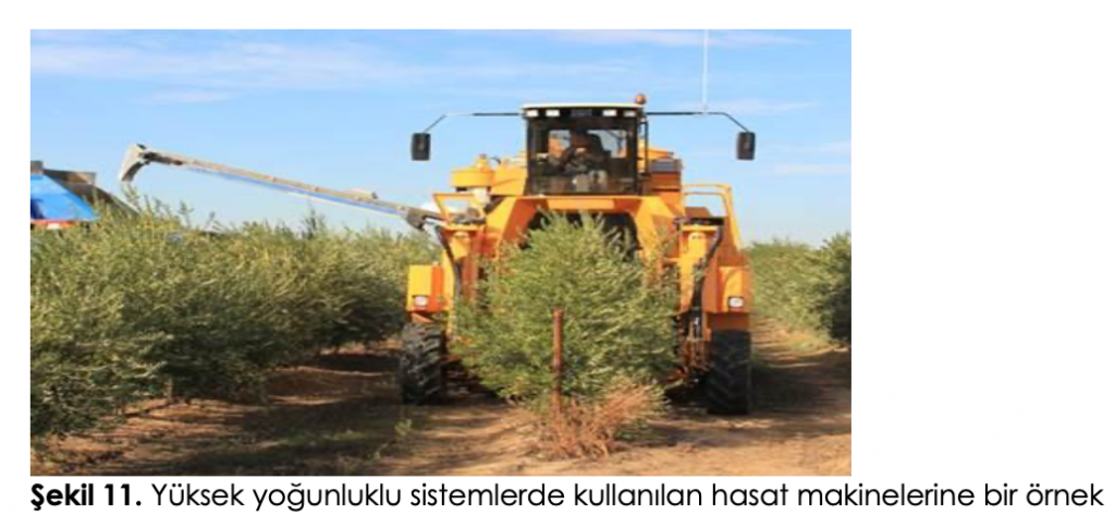 Şekil 11. Yüksek yoğunluklu sistemlerde kullanılan hasat makineleri