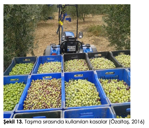 Şekil 13. Taşıma sırasında kullanılan kasalar