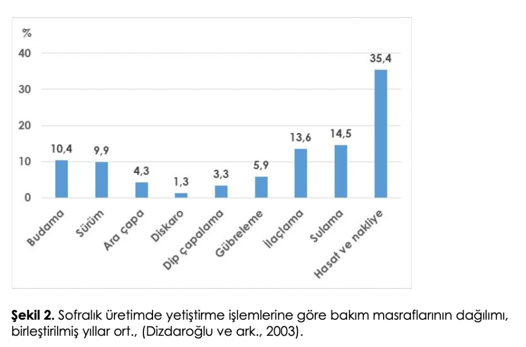 Hasat şekli