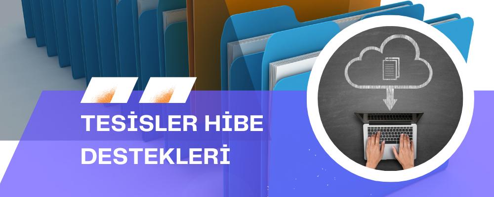 Zeytin ve Zeytinyağı tesisleri Hibe destekleri danışmanlığı