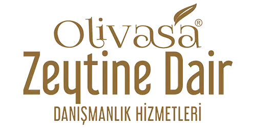 Zeytine Dair Her Şey